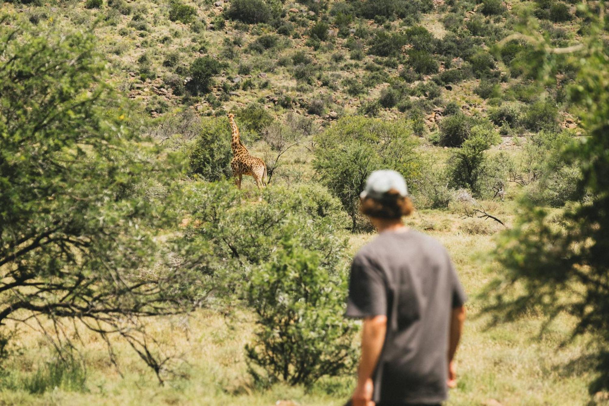 Buccara Wildlife Reserve Graaff-Reinet Екстериор снимка